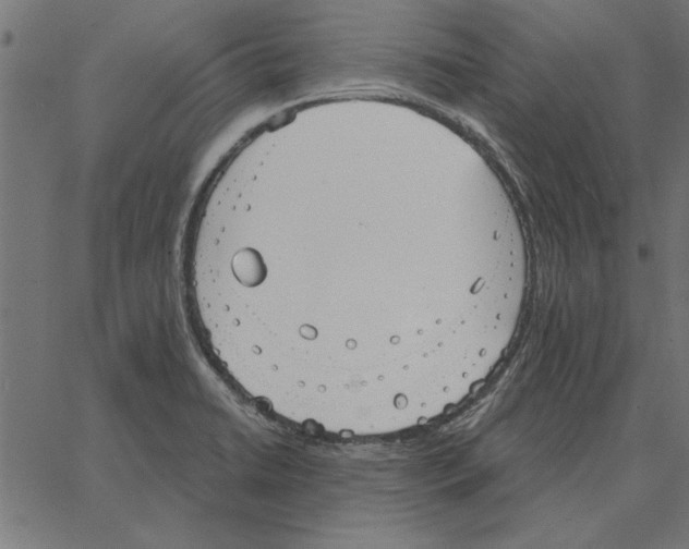 X0000067371422200604281739