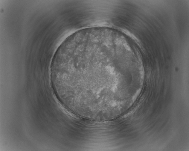 X0000067371423200604281739