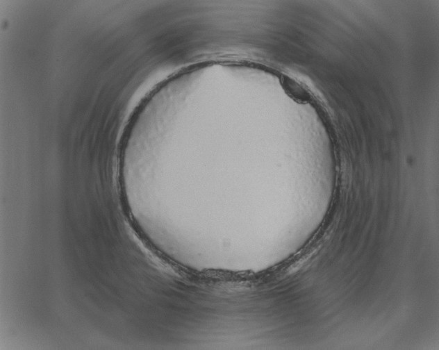 X0000067371424200604281739