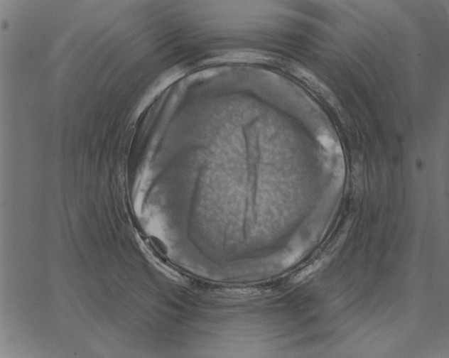 X0000067371425200604281739