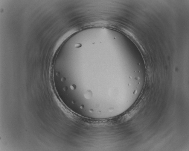 X0000067371426200604281739