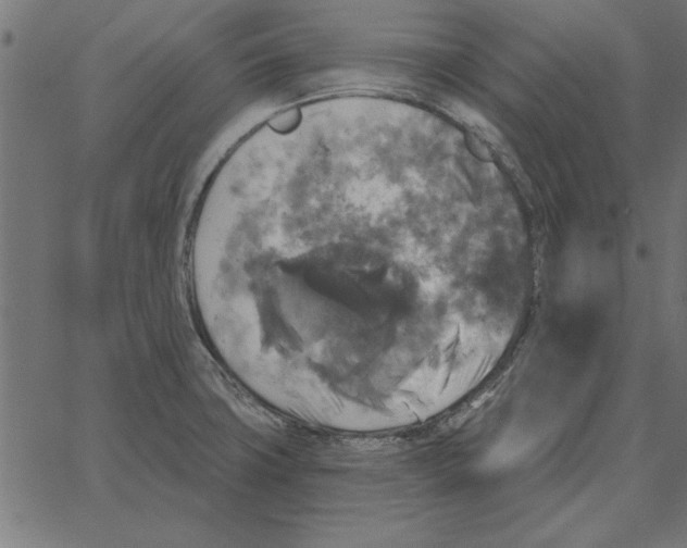 X0000067371427200604281739