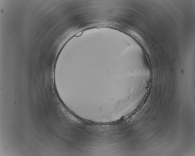 X0000067371428200604281739