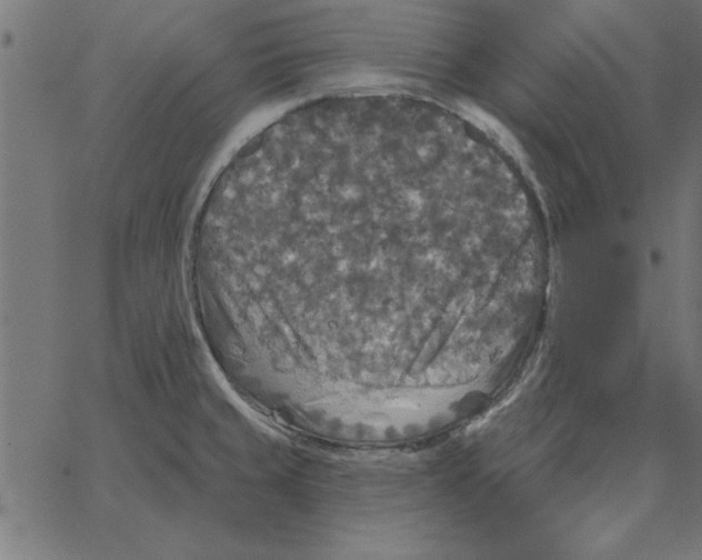 X0000067371429200604281739