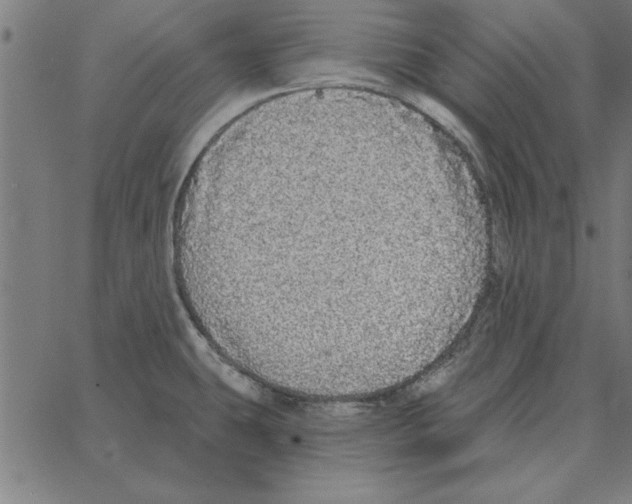 X0000067371431200604281739