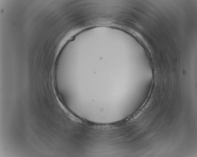 X0000067371432200604281739