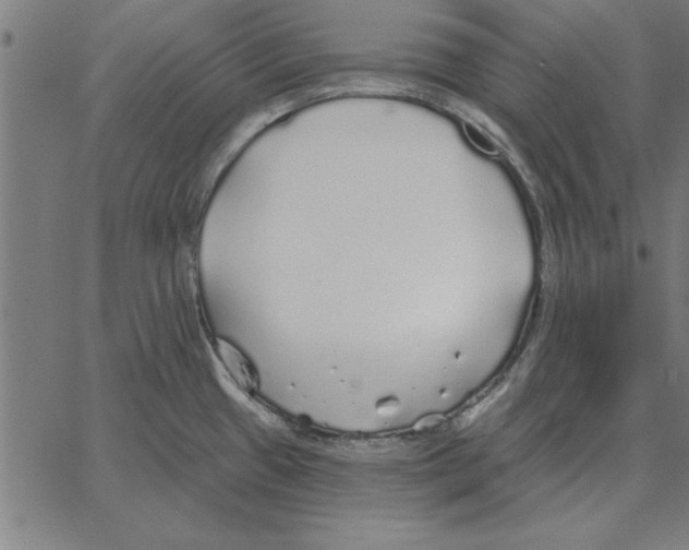 X0000067371433200604281739