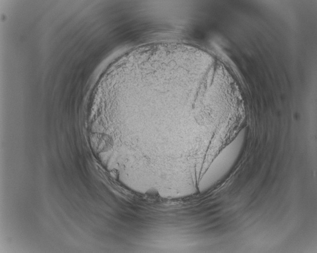 X0000067371435200604281739