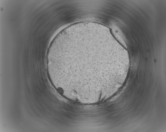 X0000067371436200604281739