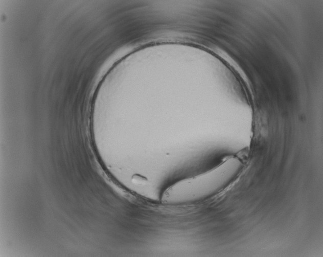 X0000067371437200604281739