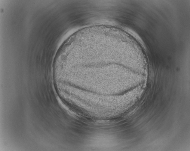 X0000067371439200604281739