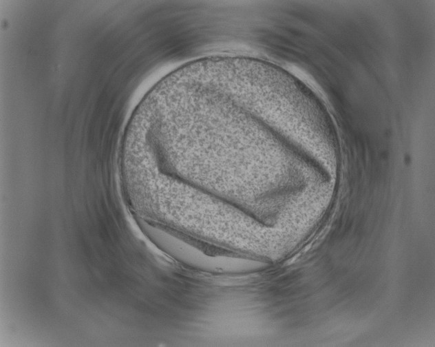 X0000067371440200604281739