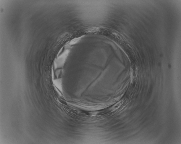 X0000067371441200604281738