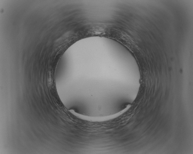 X0000067371442200604281738