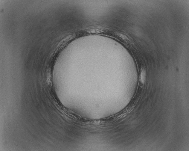 X0000067371444200604281738