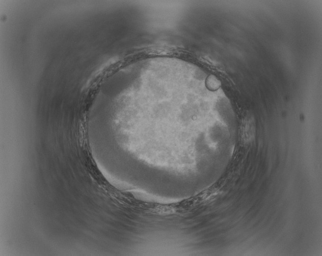 X0000067371446200604281738