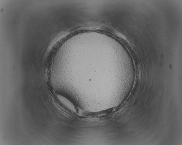 X0000067371448200604281738