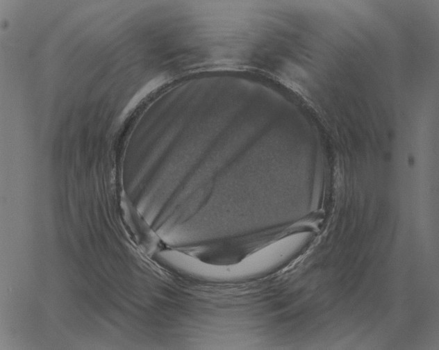 X0000067371450200604281738