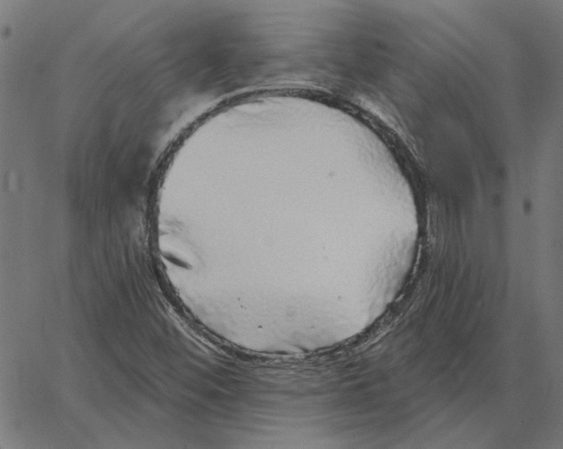 X0000067371452200604281738