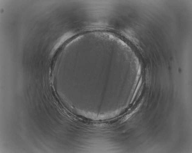 X0000067371453200604281738