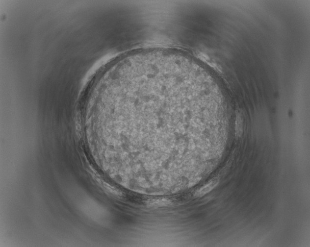 X0000067371454200604281738