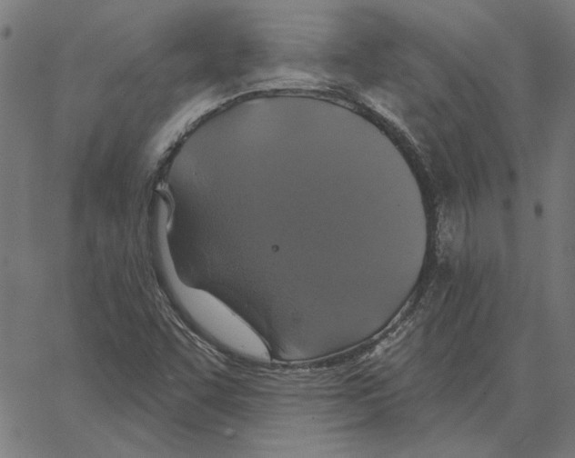 X0000067371455200604281738