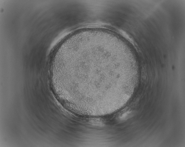 X0000067371456200604281738