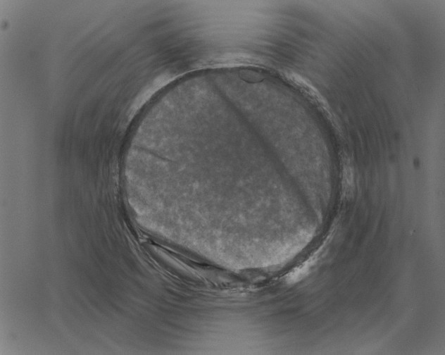 X0000067371457200604281738