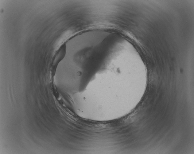 X0000067371459200604281738