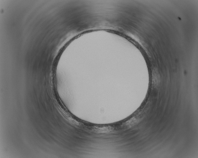 X0000067371460200604281738