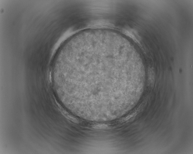 X0000067371462200604281738