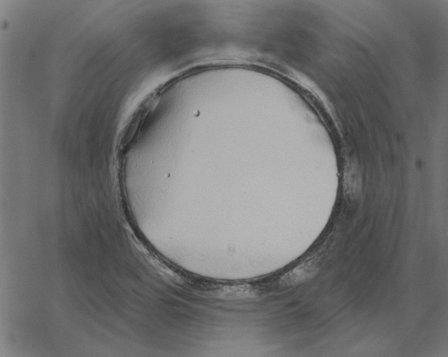 X0000067371464200604281738