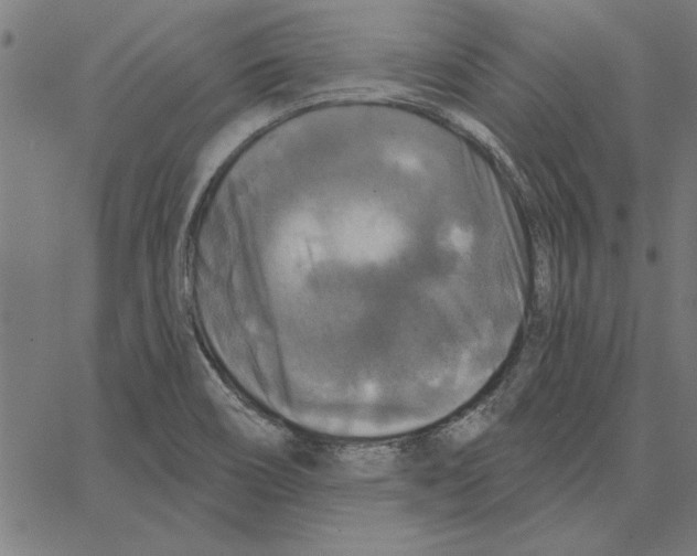 X0000067371466200604281738