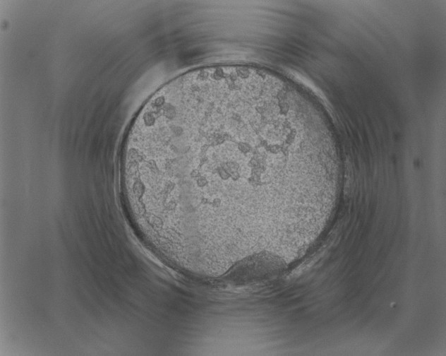 X0000067371467200604281738