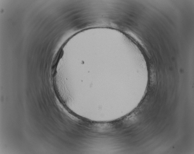 X0000067371468200604281738