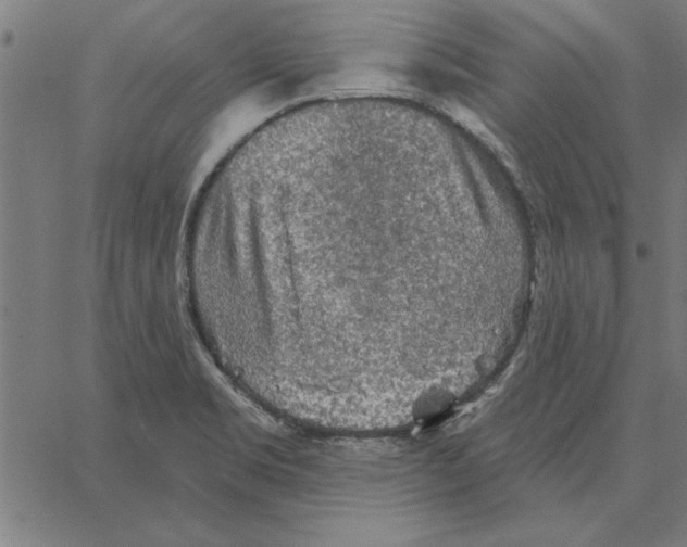 X0000067371469200604281738