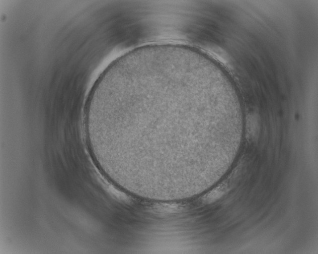 X0000067371470200604281738