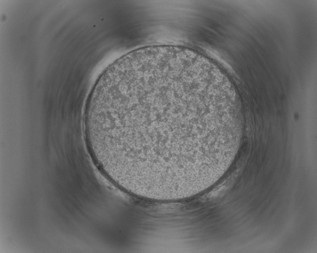 X0000067371471200604281738