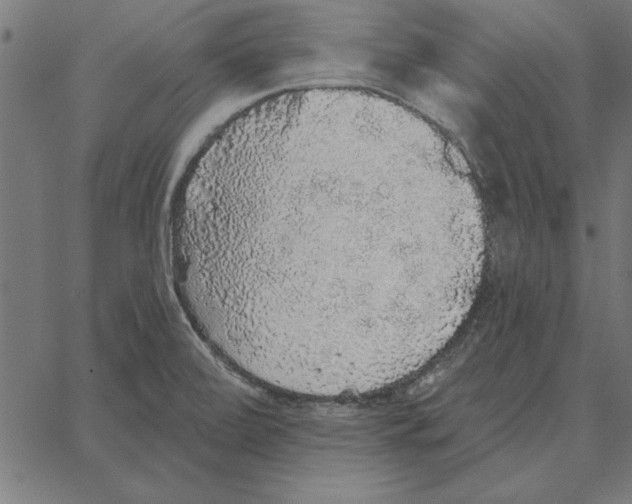 X0000067371472200604281738