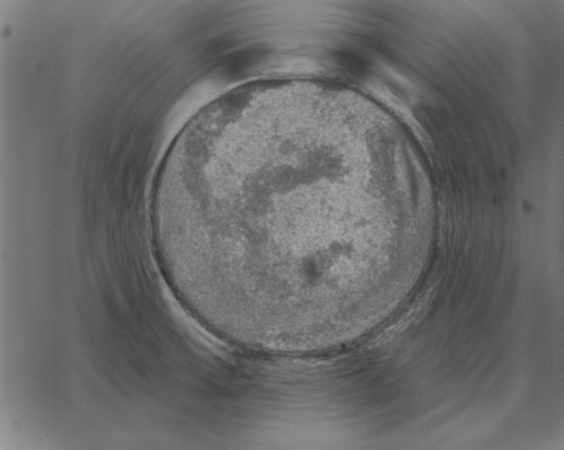 X0000067371475200604281738