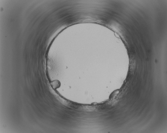 X0000067371476200604281738