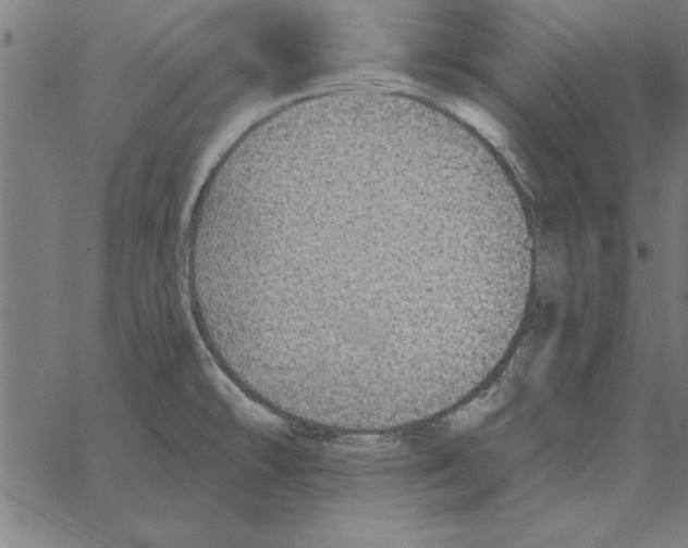 X0000067371478200604281738