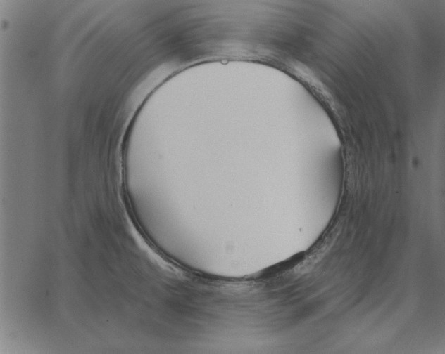 X0000067371479200604281738