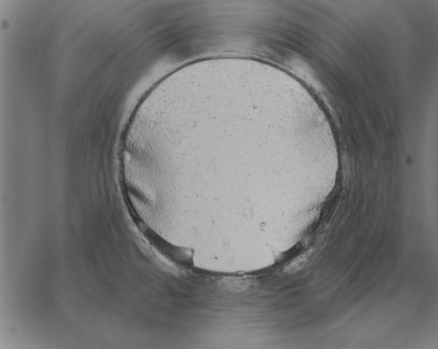 X0000067371480200604281738