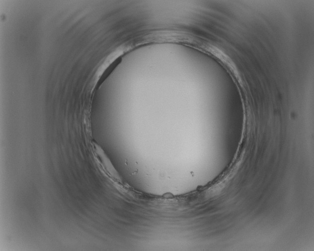 X0000067371481200604281738