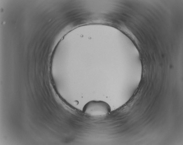 X0000067371483200604281738