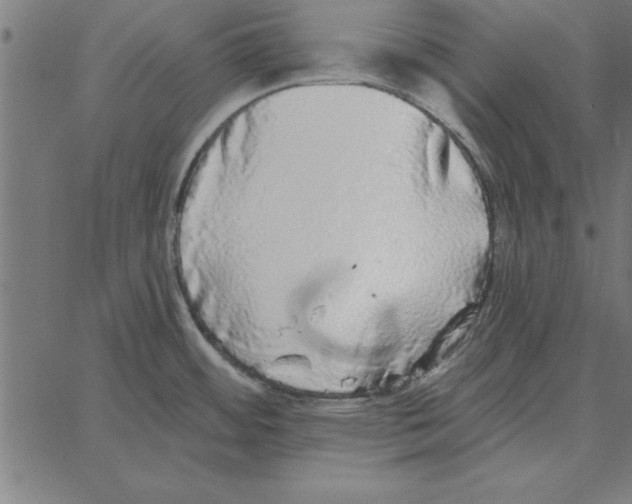 X0000067371484200604281738