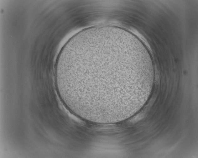 X0000067371486200604281738