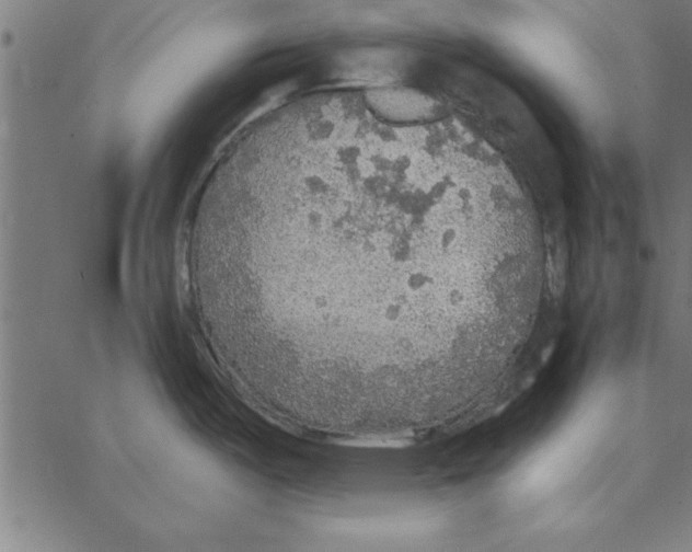 X0000067371487200604281738