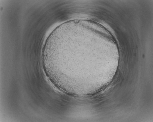 X0000067371488200604281738